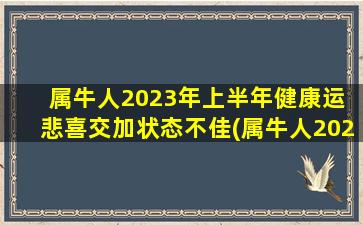 属牛人2023年上半年健康运 悲喜交加状态不佳(属牛人2023年上半年健康运势：悲喜交加，状态不佳！)